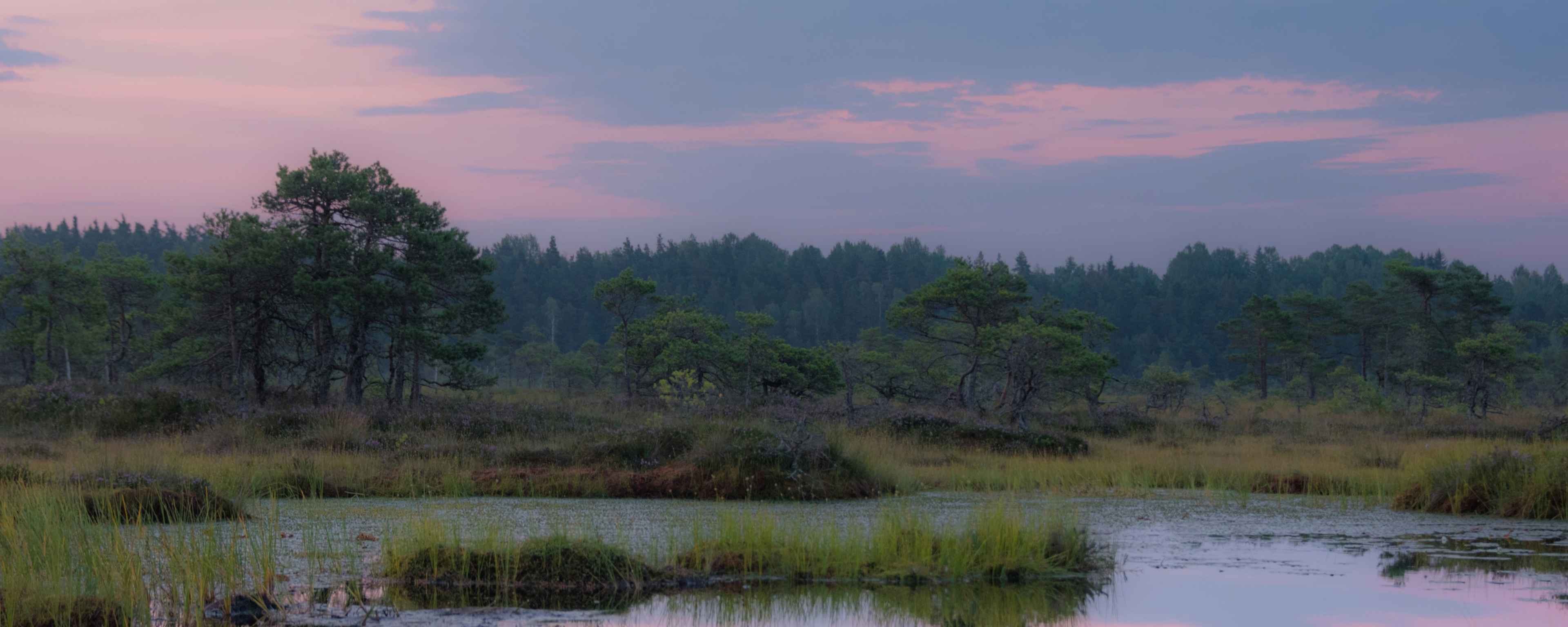 Moorlandschaft im Sonnenuntergang