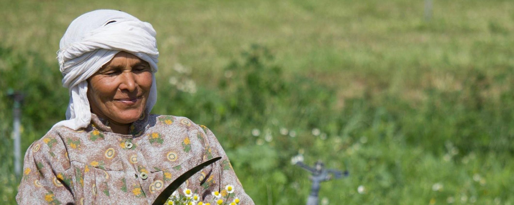SEKEM-Agriculture-Woman-e1476778328841