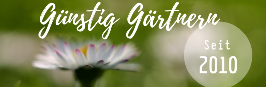 Die elf inspirierendsten Gartenblogs aus der Gartenwelt